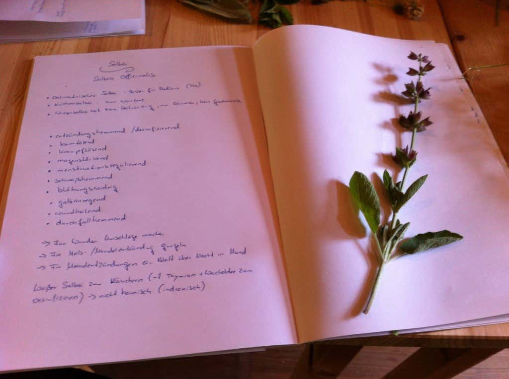 Notizbuch mit Notizen zur Pflanzenkenntnis