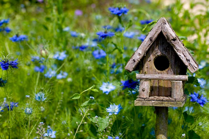 Vogelhaus aus Naturholz
