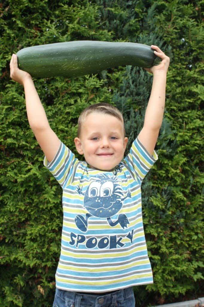 Junge Hebt Zucchini über den Kopf