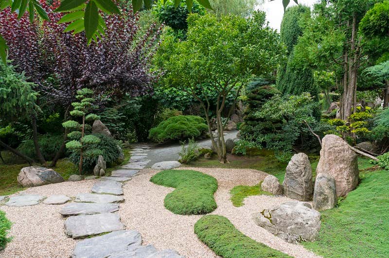 japanischer Zen-Garten mit Bonsai
