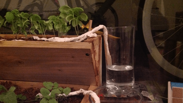 Bewässerungssystem aus Papiertüchern