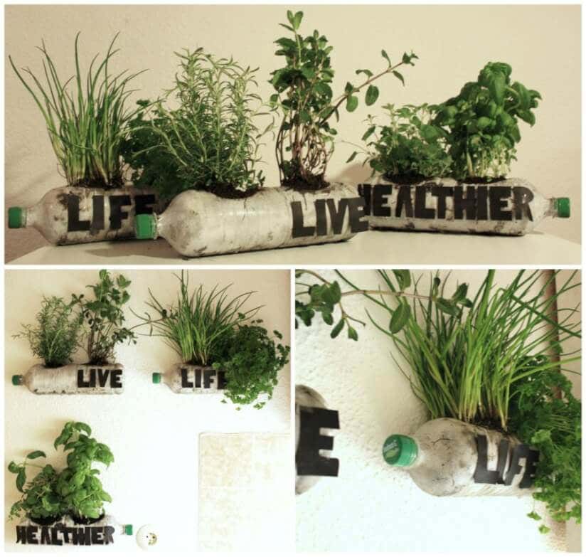 Flaschen mit Pflanzen an der Wand