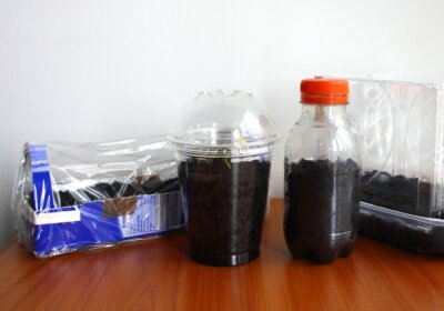 mini-gewaechshaeuser