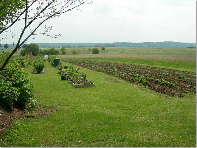 Blick auf den Kräutergarten und das Obst- und Gemüse-Selbstversorgerfeld.