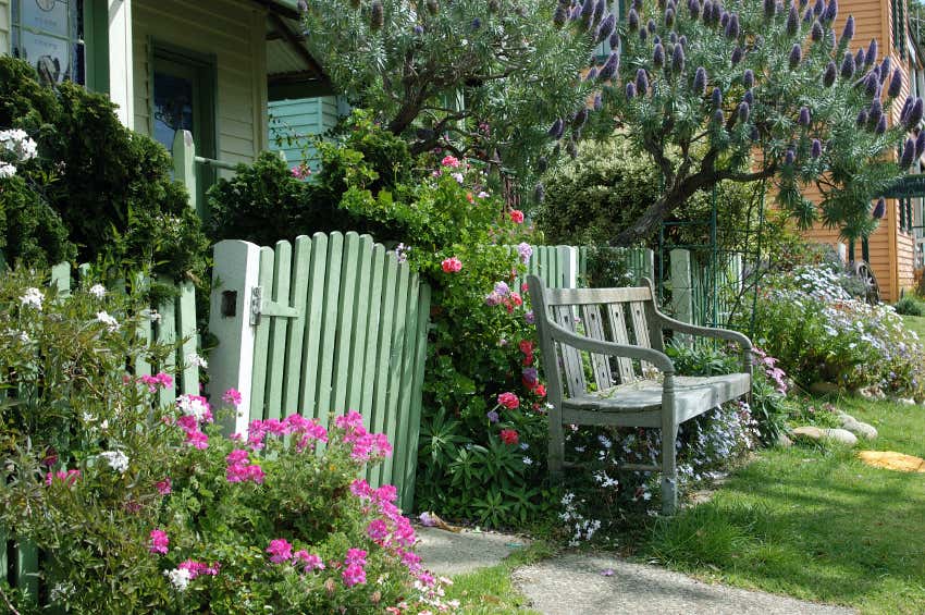 Cottage Garten: Gestaltungsideen im englischen Stil