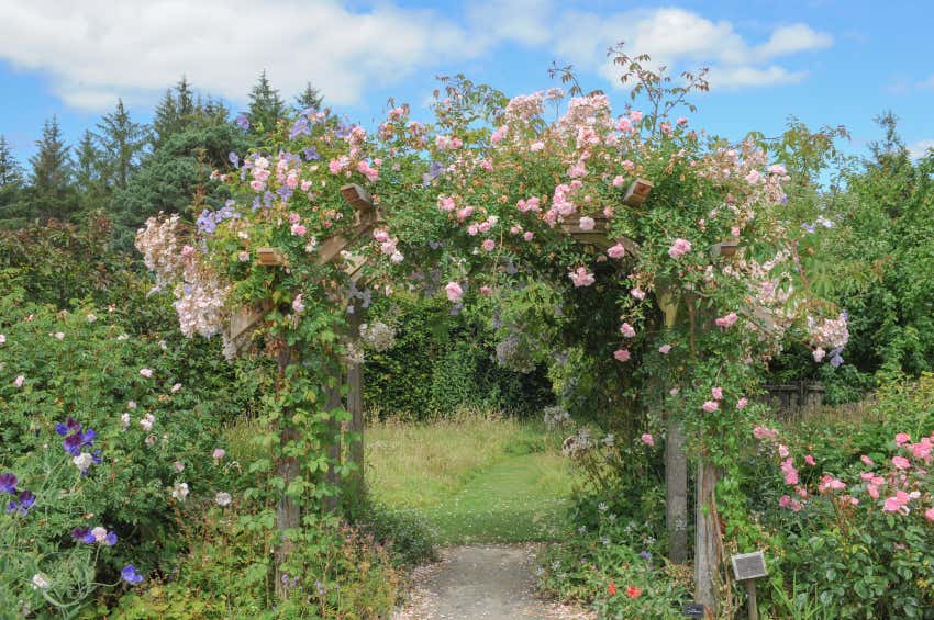 cottage-garten-rosen-torbogen