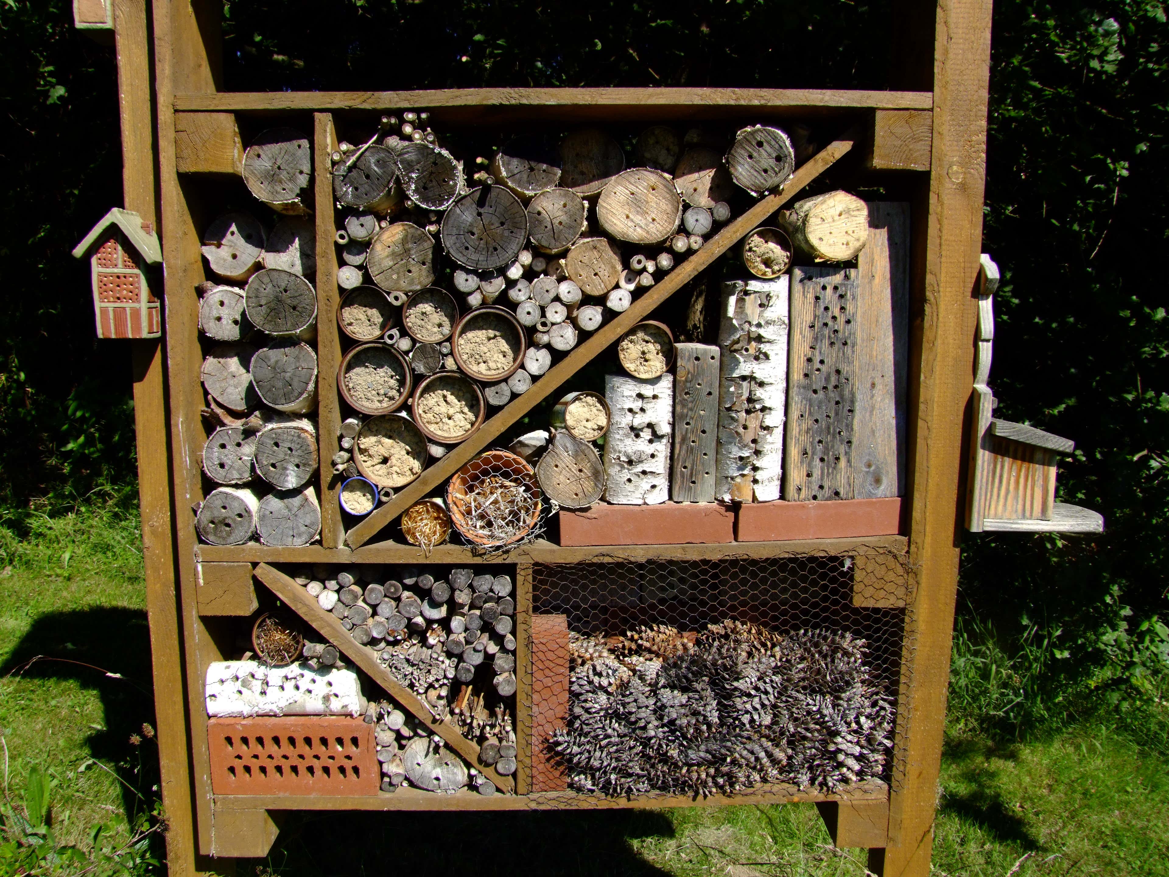 Auch Wildbienen fühlen sich im selbstgebauten Insektenhotel wohl. Wie Sie Bienen und anderen heimischen Tieren übrigens beim Überwintern im Garten helfen, erfahren Sie hier.