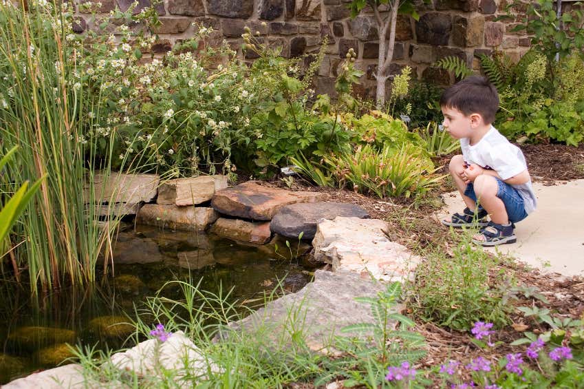 kleiner Junge betrachtet einen Teich