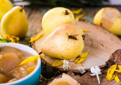 Wespen abwehren auf Birne