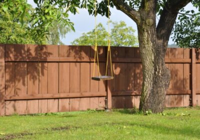 Fremde Äpfel im eigenen Garten? Die wichtigsten Fakten zum Nachbarrecht in Deutschland