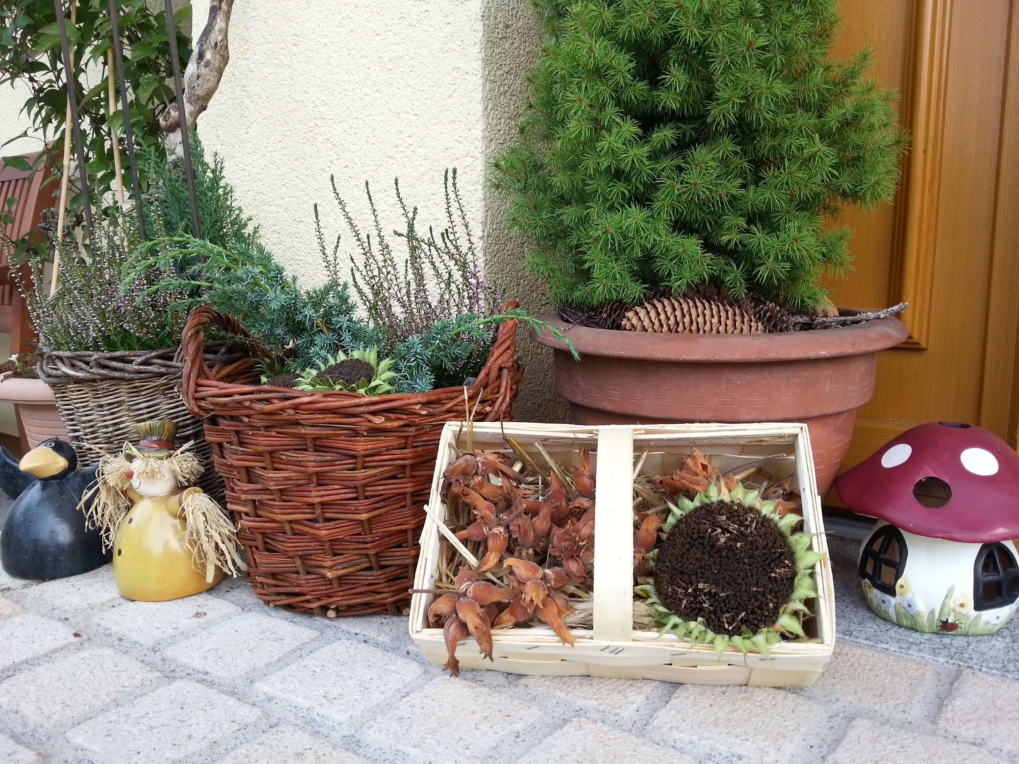 Gartendeko-Haustür-Herbst