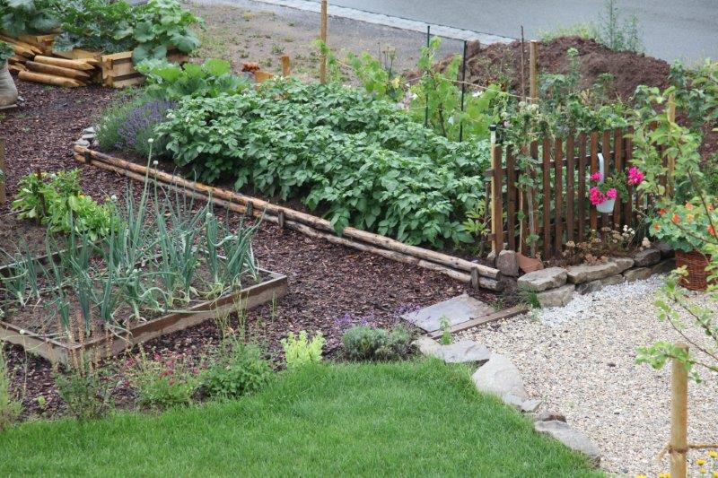 Kartoffelbeet in Doris' Gemüsegarten