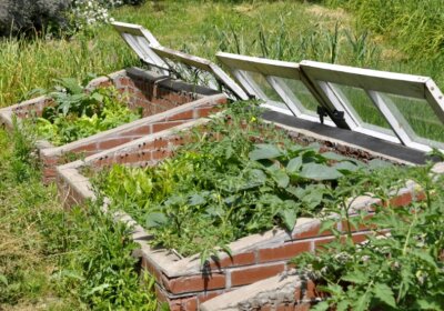 Selbstversorger aufgepasst: Wie Sie ein Frühbeet richtig bepflanzen