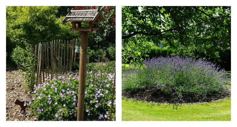 Gartenidyll mit Lavendelbeet und Vogelhaus