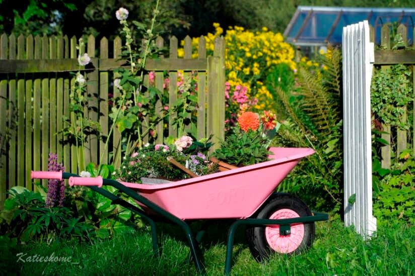 Gartendekoration-Schubkarre-rosa