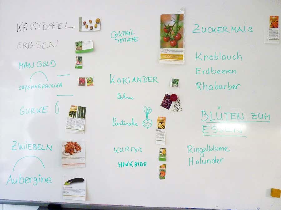 Mehr über regionales Gemüse und Blüten lernen – dabei werden auch spielerisch Deutschkenntnisse vertieft. 