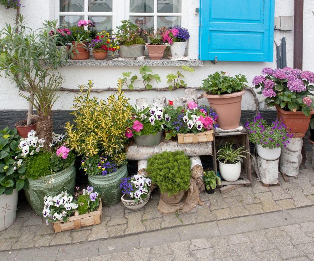 Blumen Giessen Im Urlaub 8 Tipps Zum Ferienfesten Garten