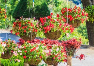 Sommer-Deko für den Garten: Elisabeth verrät uns ihre 4 DIY-Tipps