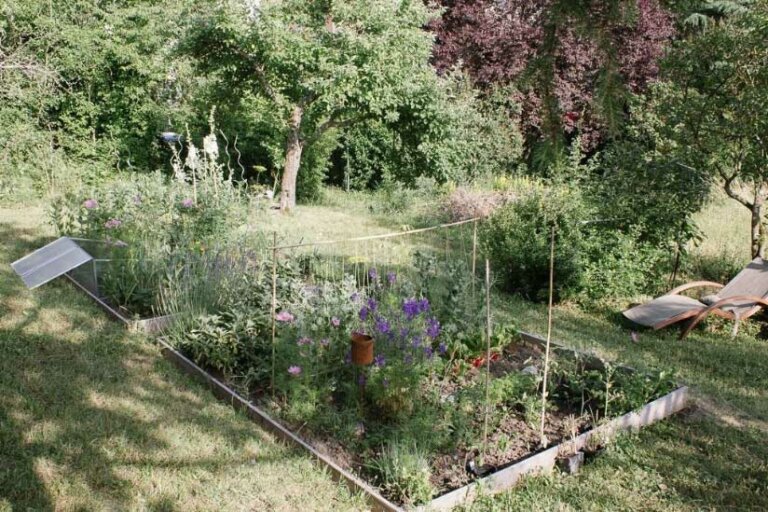 Gartenblogs Top 9: Inspiration, Gestaltung und Tipps & Tricks