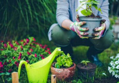 Person kniet im Garten und hält Blumentopf in den Händen