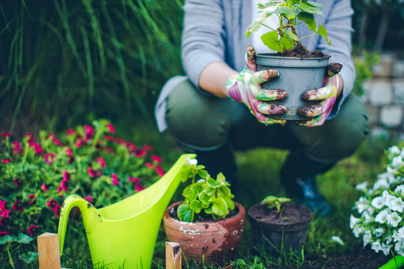 Garten Im Fruhling So Machen Sie Ihn Fruhlingsfit