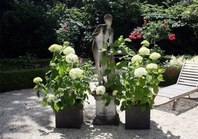 Pflanzkübel im Garten