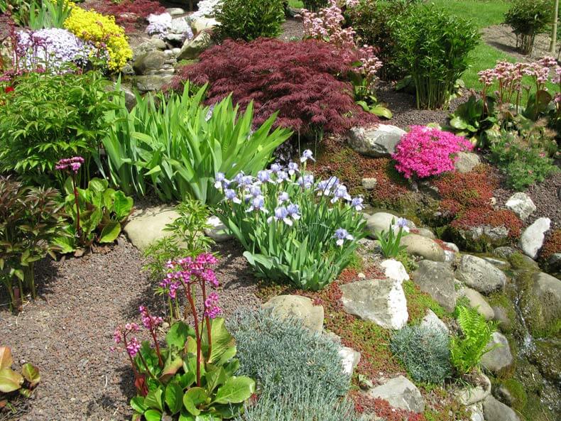 Steingarten anlegen im Garten