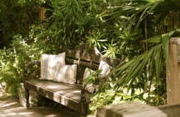Gartenbank mit Kissen und Pflanzen