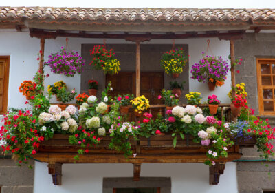 Balkonliebe: 10 Ideen fürs Gärtnern ohne Garten Balkon mit bunten Blumen