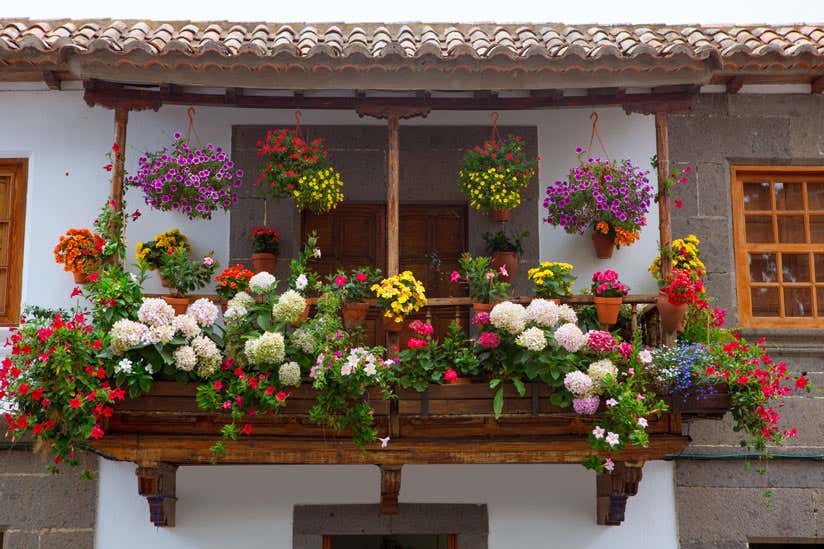 Balkon mit bunten Blumen