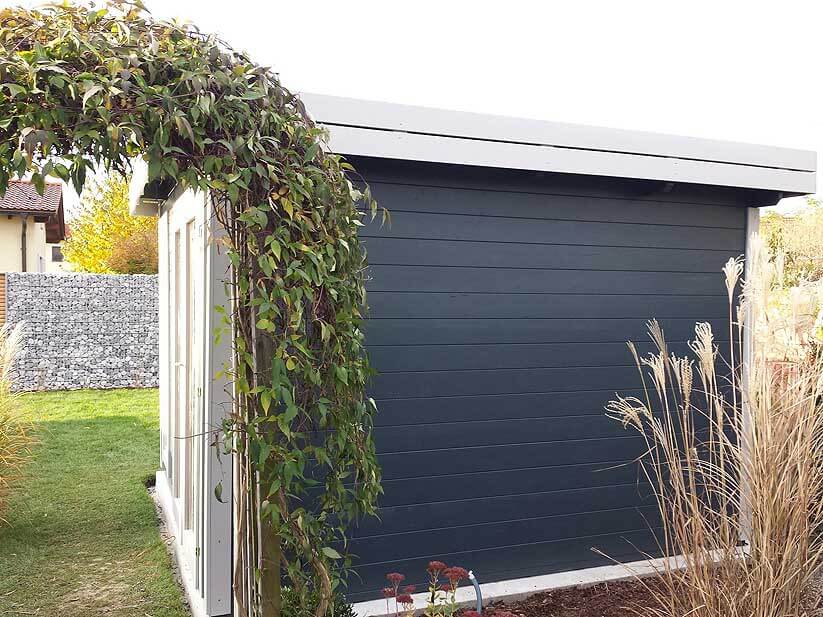 clematis - GartenHaus Magazin