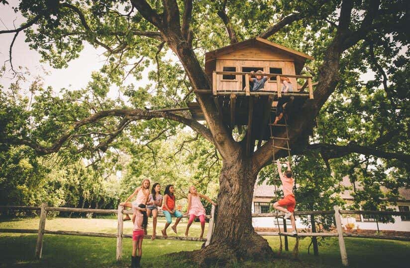Kinder Baum Baumhaus