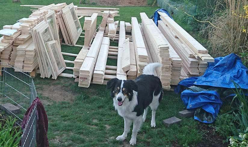Haushund bewacht den Bausatz
