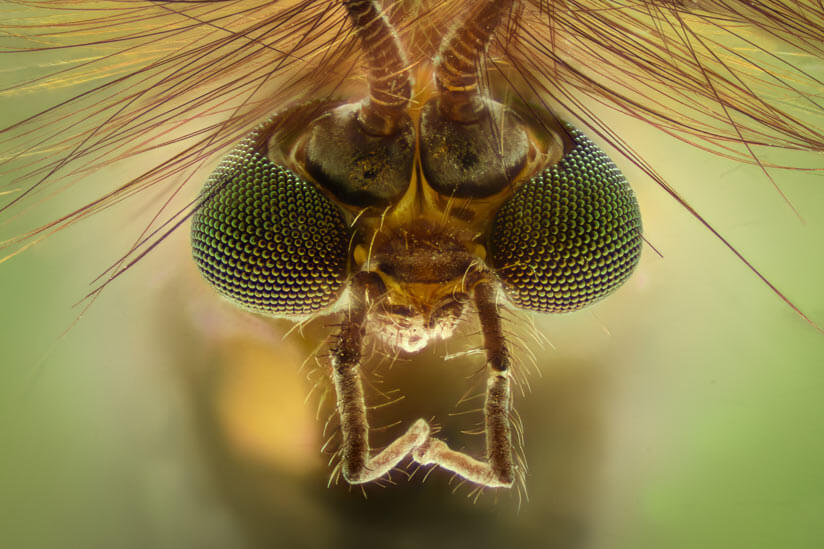 1,2 x 1,8 m, Anti-Moskito-Fliegen-Insekten-Fliegen-Fenstergitter