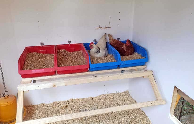 Hühnernester im Hühnerstall
