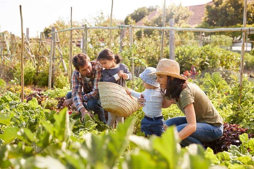 Nachhaltigkeit im Garten 11 Tipps zum Gärtnern