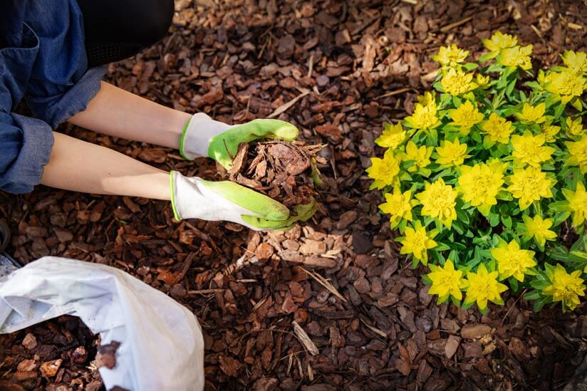 Garten richtig mulchen