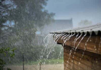 Regenwasser nutzen für Haus und Garten: Wie’s einfach geht und was es bringt