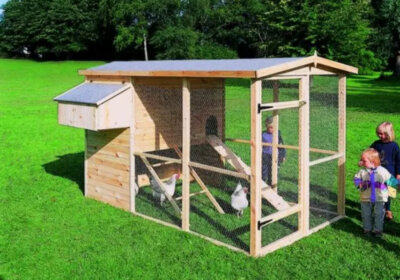 Hühnerstell mit Kindern