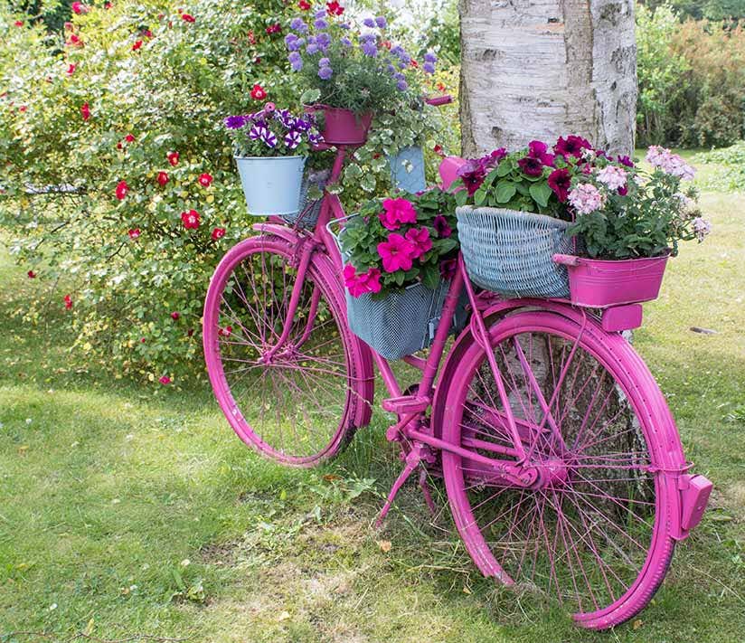 Pinkes Fahrrad mit Blumen in Natur