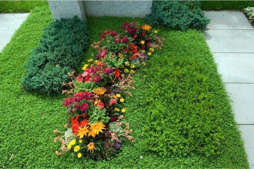 Bunte Blumen auf Grab