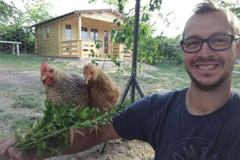 Hühner als Bewohner vom Gartenhaus Lappland