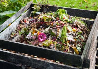 Kompost anlegen: Anleitung mit 3 einfachen Schritten zum Nachmachen